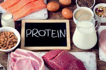 excessive protein consumption