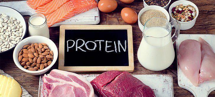 excessive protein consumption