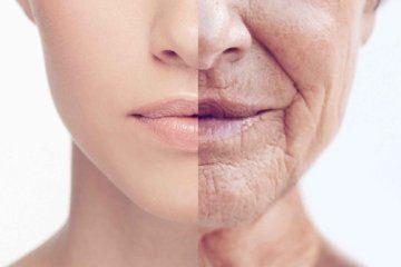 Ελαιόλαδο: «Ασπίδα» κατά της πρόωρης γήρανσης