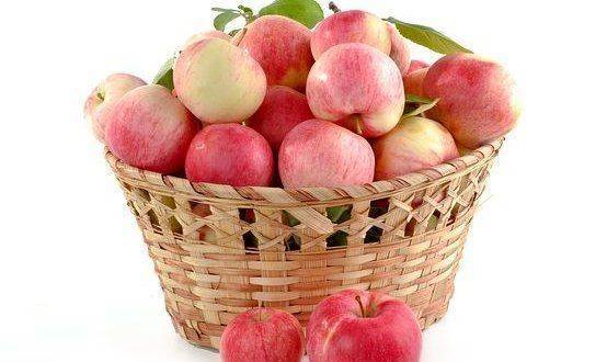 Autumn delicacies with Apples