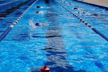 10 χαρακτηριστικά του τεμπέλη κολυμβητή